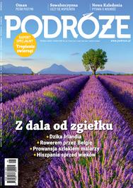 Pożary w Turcji. Na miejscu są turyści z Polski. MSZ ...