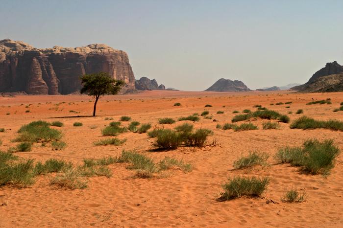 Jordania - barwy pustyni.