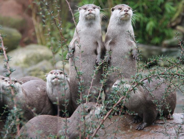 Zoo Wrocław Cennik Godziny Otwarcia Atrakcje Podrozesepl