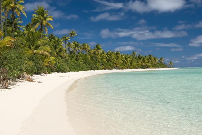 Palmy kokosowe porastające plaże na wyspie Aitutaki