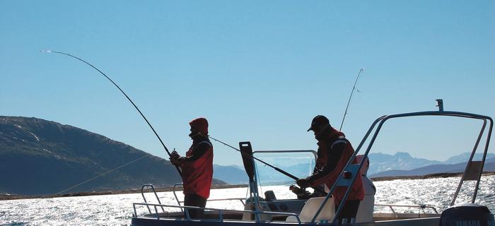 Norwegia, Efjord na Lofotach to doskonałe miejsce na łowienie z łódki
