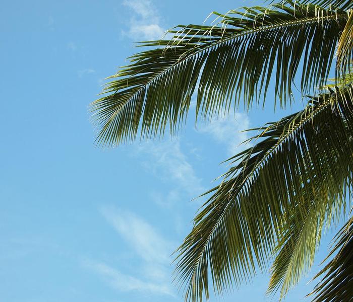 Żimowa oferta TUI to głównie wycieczki na tropikalne plaże