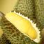 Durian - król owoców azjatyckich