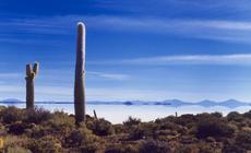 Salar de Uyuni