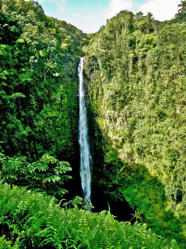 Hawaje. Narodziny stanu Aloha