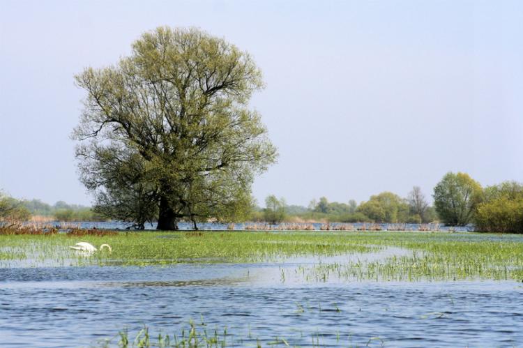 Park Narodowy "Ujście Warty"