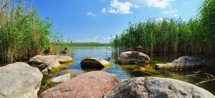 Jeziora w Polsce: Śniardwy