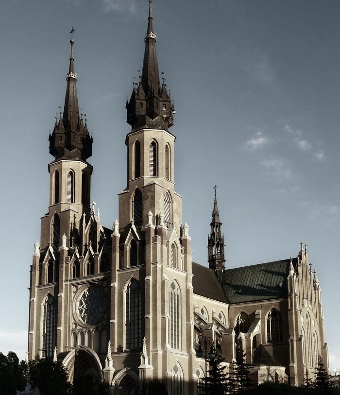 Katedra w Radomiu