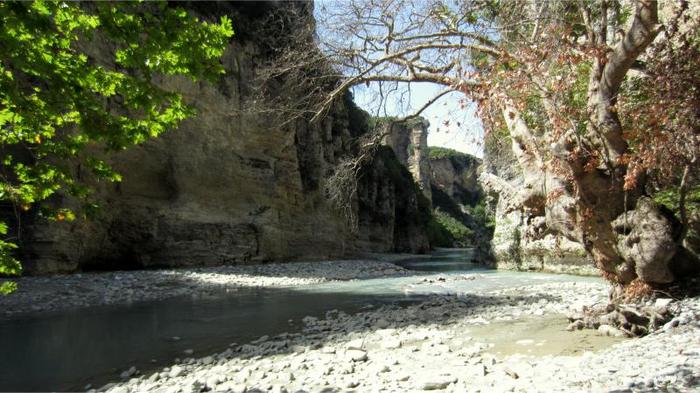 Kanion rzeki Osum.