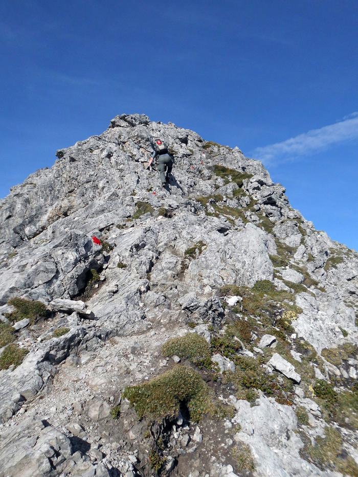 Alpejski szlak