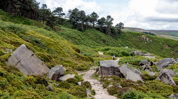 Ilkley Moor