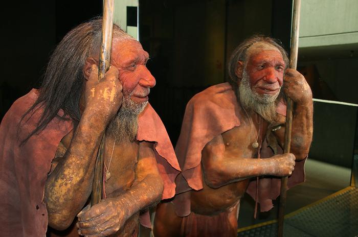 Neandertalczyk - rekonstrukcja
