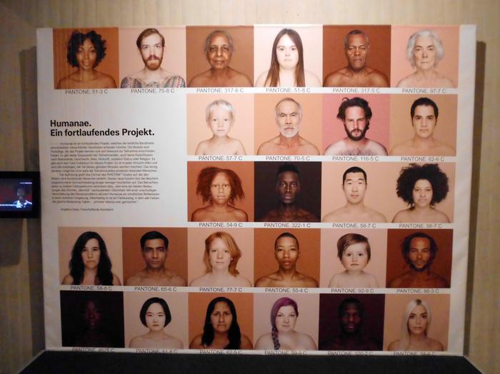 Humanae - fragment projektu