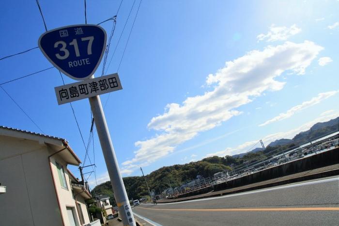 route 317
