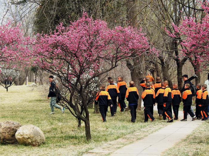 Adepci sztuk walki w Shaolin