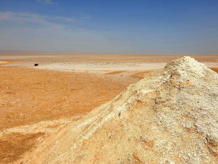 Jezioro Chott el Jerid