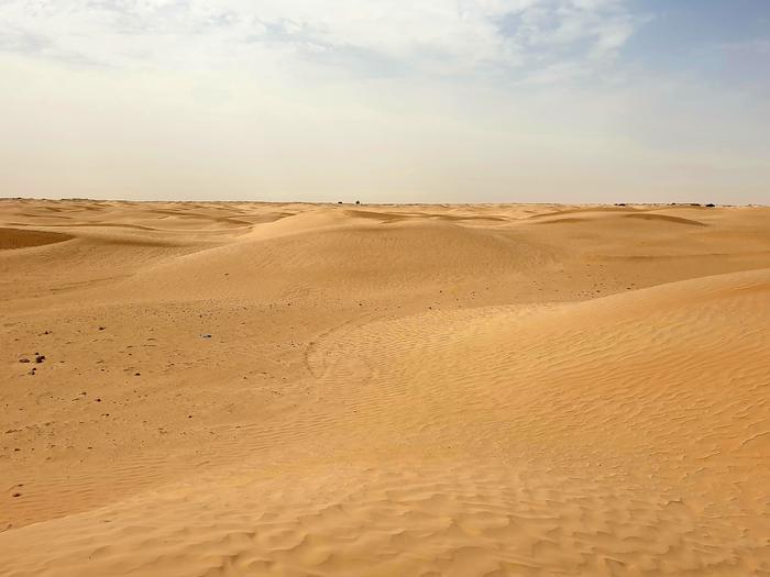 Sahara w okolicy Douz