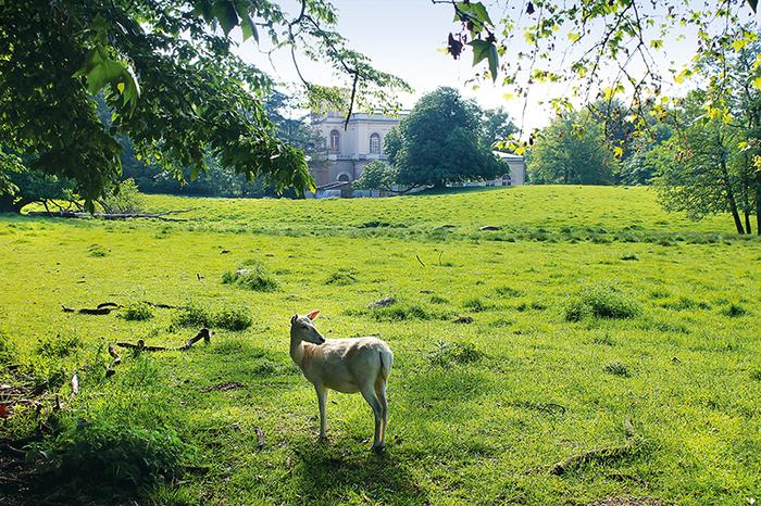 Park księcia Wilhelma w Putbus