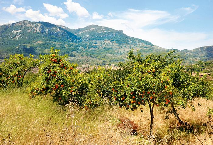 Góry Tramuntana
