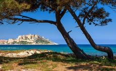 Korsyka: Calvi