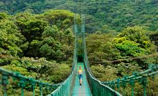 Dżungla w Monteverde