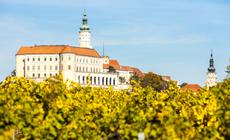 Czechy, winnica w Mikulovie jesienią