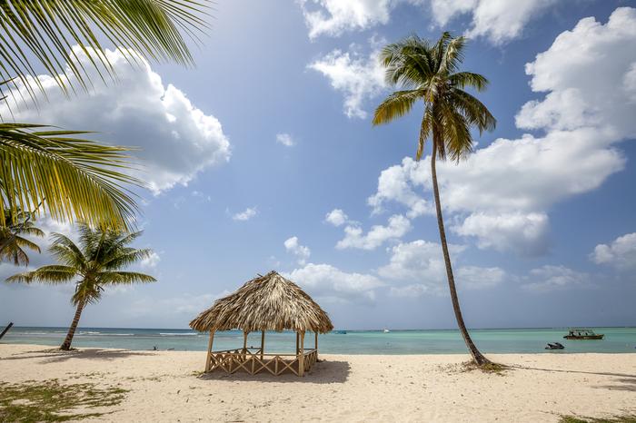 Małe Antyle, plaża Tobago Beach