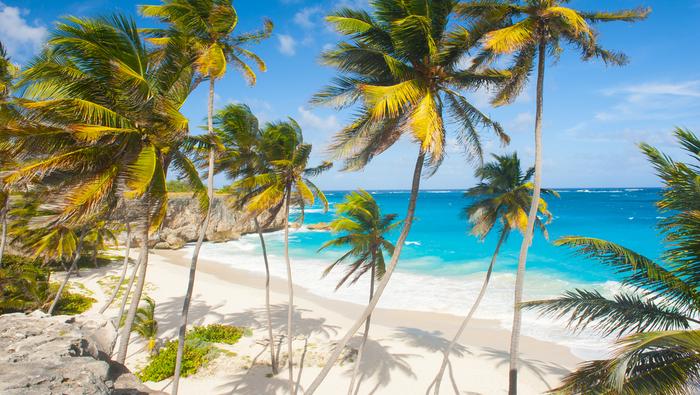 Barbados, rajska plaża Bottom Bay