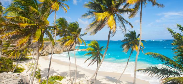 Barbados, rajska plaża Bottom Bay