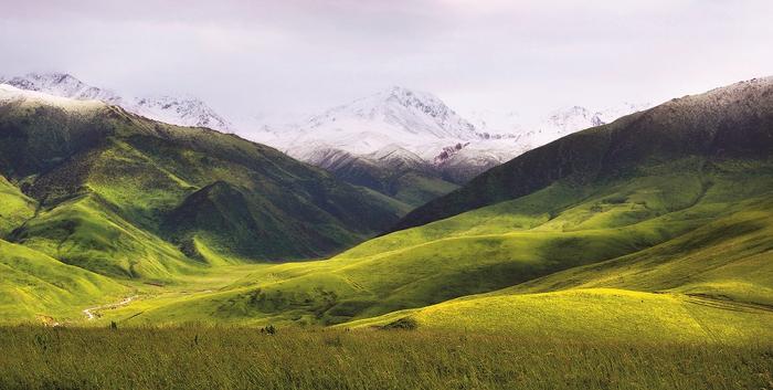 Wbrew stereotypom Kazachstan to nie tylko stepy, ale także góry Tien-szan, lasy i półpustynie