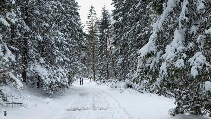 Tatry Zachodnie, Dolina Kościeliska zimą