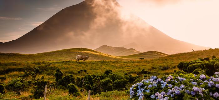 Wulkan Pico na Azorach