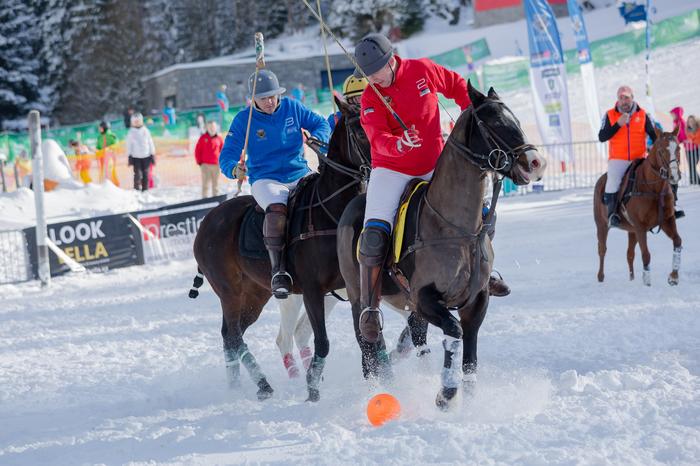 Śnieżne polo w Szpindlerowym Młynie