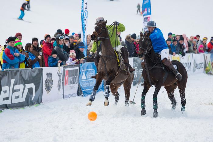Śnieżne polo w Szpindlerowym Młynie