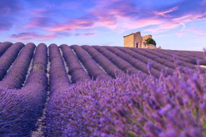 Valensole