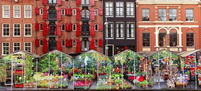 Amsterdam, kwiatowy targ nad kanałem Singel
