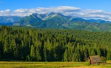 Tatry, Widok z Polany Głodówka
