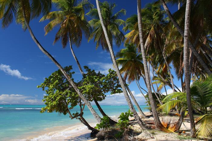 Karaiby, wyspa Tobago