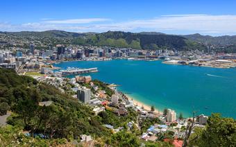 Panorama Wellington