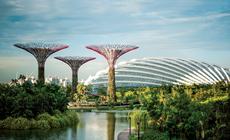 Gardens by the Bay to jedna z najbardziej kosztownych inwestycji w Singapurze