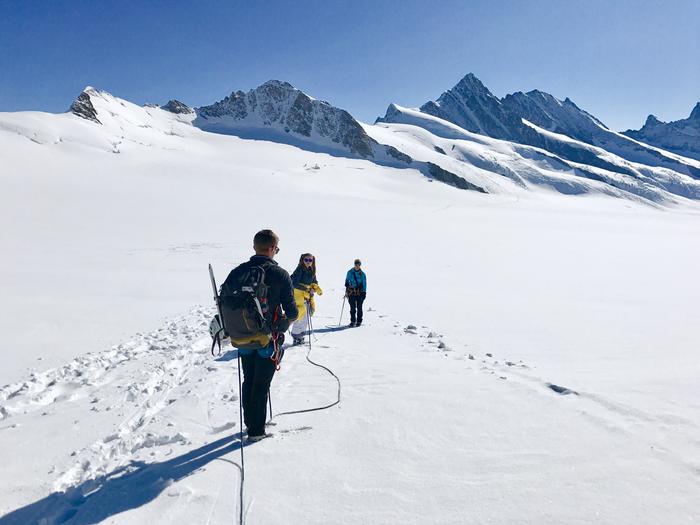 W drodze z przełęczy Jungfrau na Walcherhorn (3693 m n.p.m.)