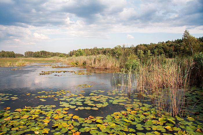 Poleski Park Narodowy