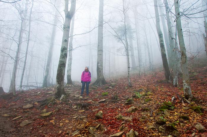 Bieszczady