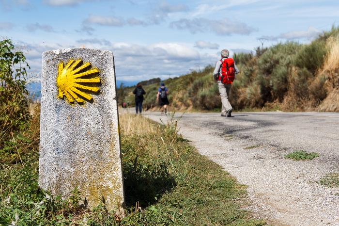 Muszla jest symbolem pielgrzymki do Santiago de Compostela