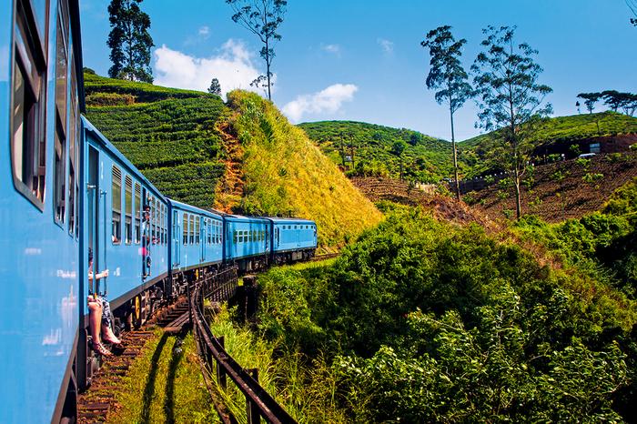 Pociągiem wśród plantacji herbaty na Sri Lance