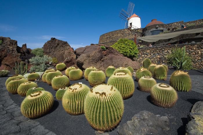 Ogród Kaktusów na Lanzarote