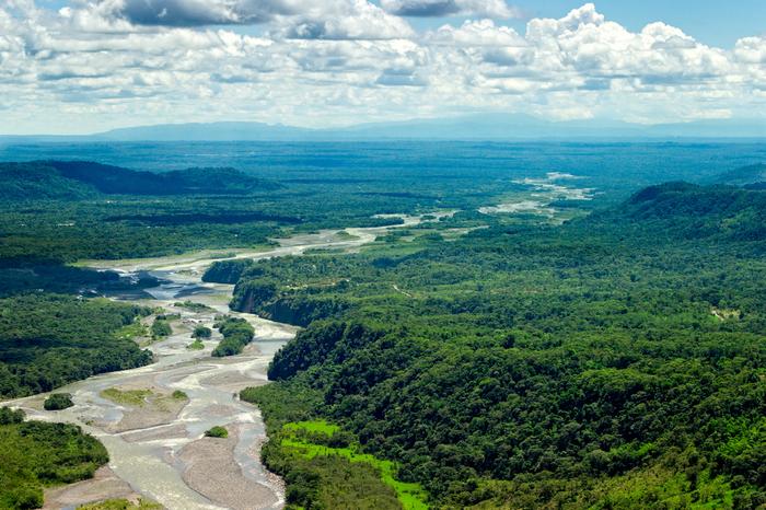 Amazonia