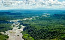 Amazonia