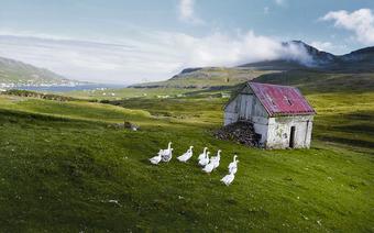 Wysunięta najdalej na południe Suðuroy słynie ze szczególnie pięknych krajobrazów 