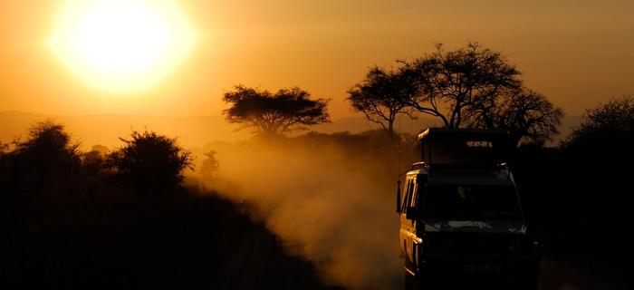 zachód słońca na równinach afrykańskich